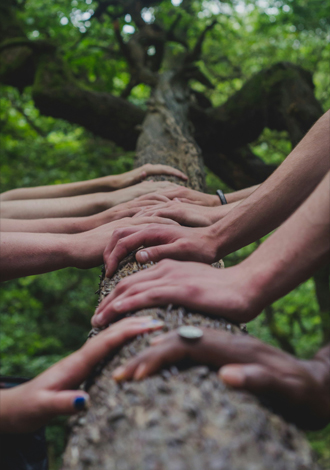 group-therapy-counselling-mind-nest